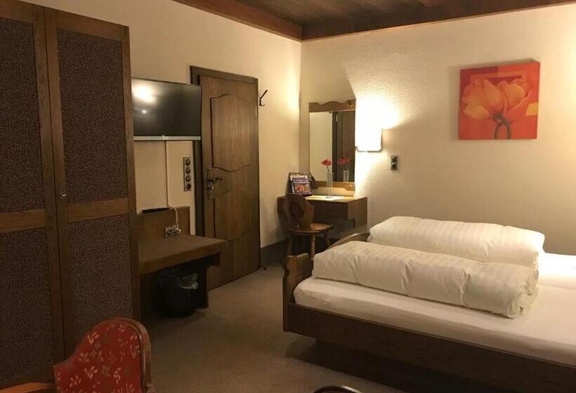 Номер Стандарт, Gasthof & Hotel Goldener Hirsch