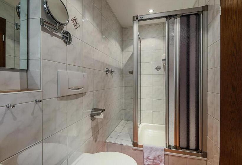 Номер Стандарт Индивидуальный, Alpenhotel Fischer 4 Sterne   Adults Only