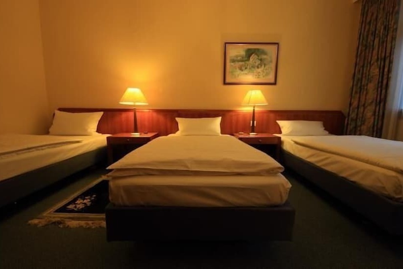 Апартаменты 1 Спальня, Altstadthotel Fürth