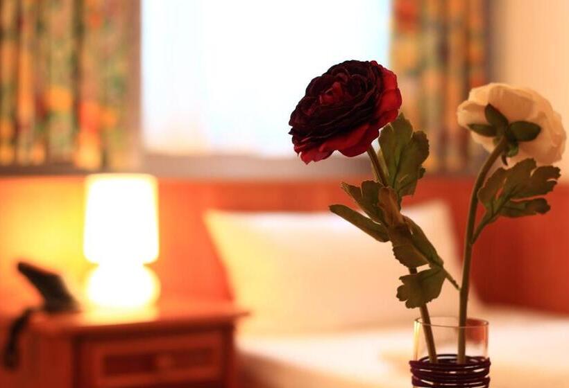 Одноместный Номер Basic, Altstadthotel Fürth