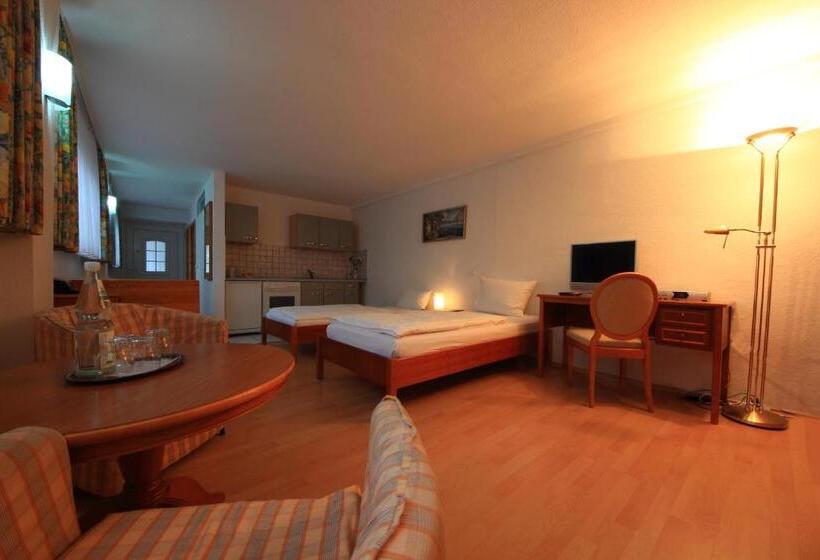 شقة غرفة واحدة, Altstadthotel Fürth