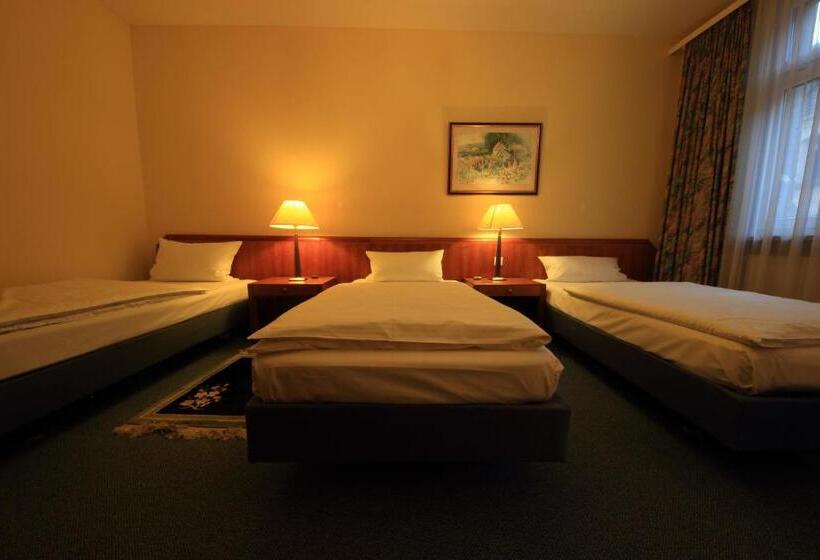 Апартаменты Комфорт 1 Спальня, Altstadthotel Fürth