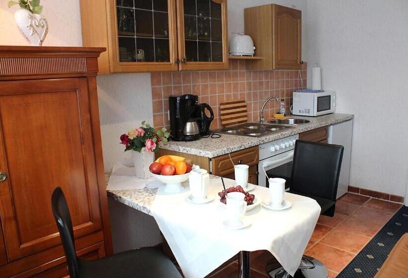 آپارتمان 1 خوابه, Parkhotel Fischer