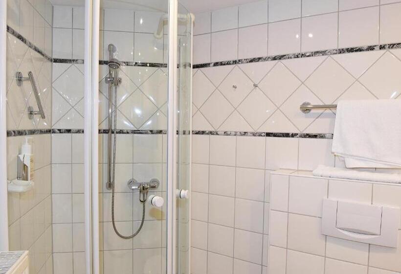 Номер Deluxe Одноместный, Aslan Kurpark Villa Olsberg