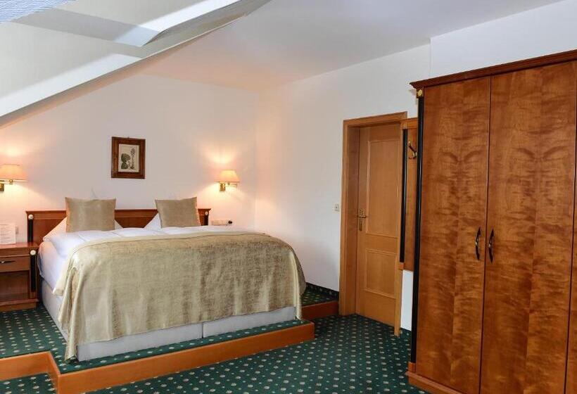 Номер Deluxe, Aslan Kurpark Villa Olsberg