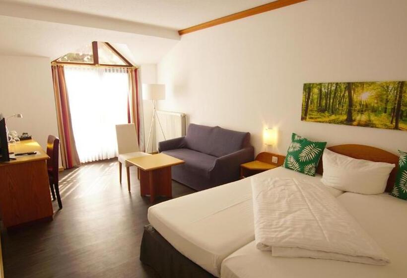 اتاق سوپریور, Gut Hotel Tannenhof