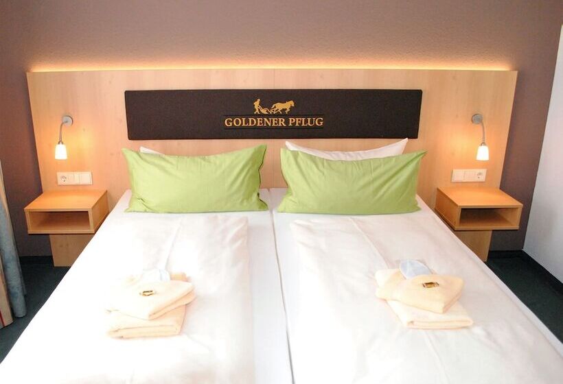 Номер Стандарт, Landgasthof Goldener Pflug