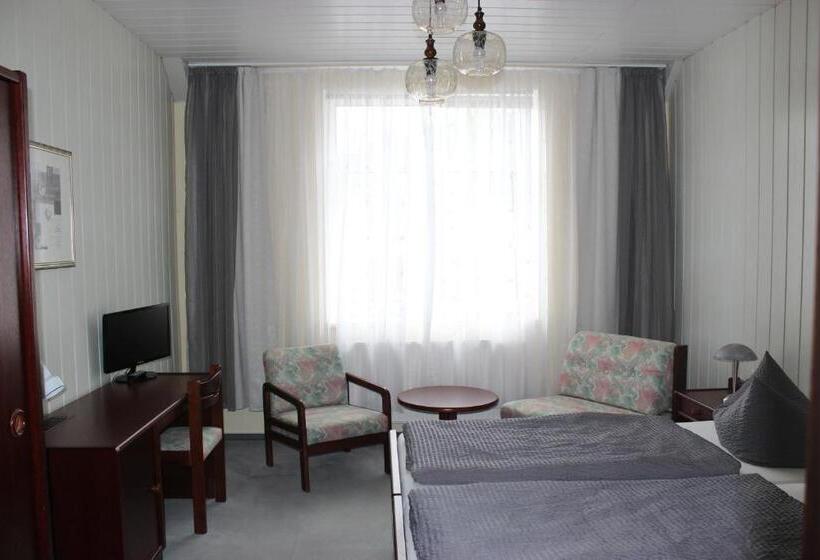 标准间, Gasthof Und Pension Frankenthal   Garni