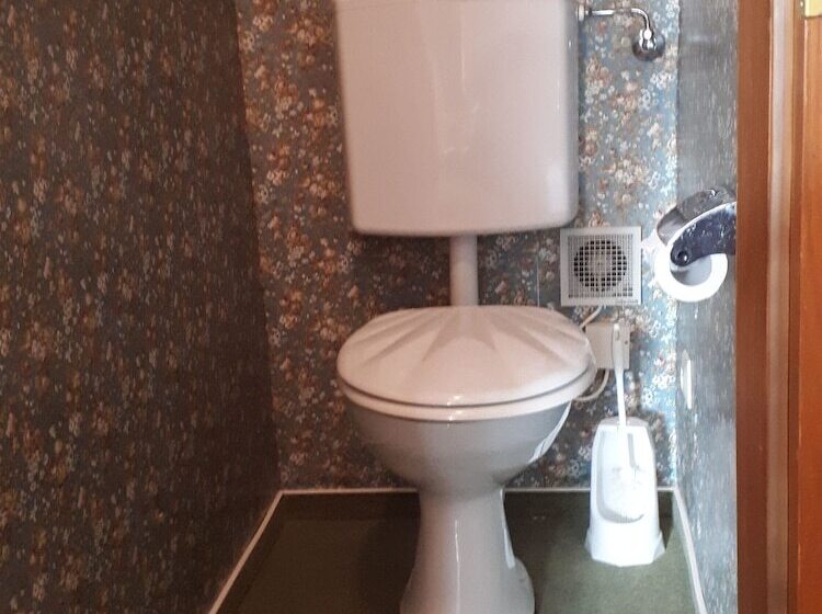 싱글 기본룸, Schwarzwaldhotel Garni Wolfach