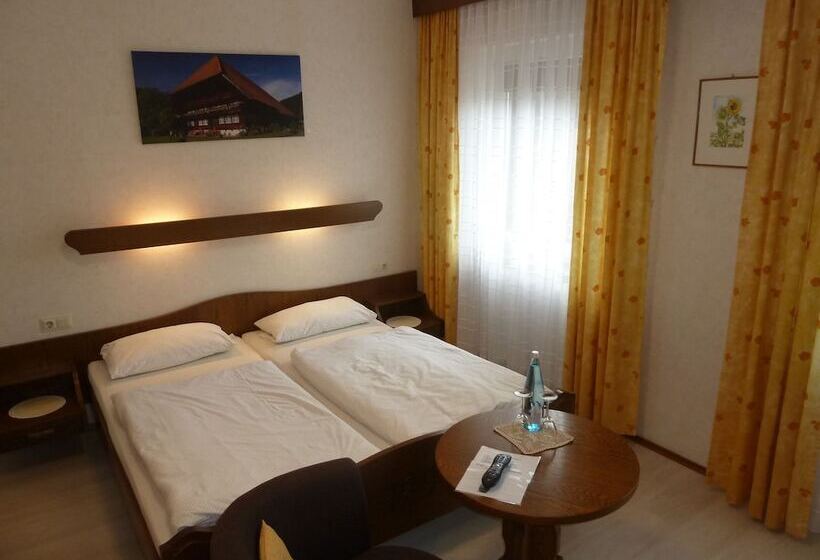 기본룸, Schwarzwaldhotel Garni Wolfach