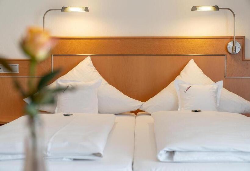 Номер Superior Кровать Кинг, Gasthaus Hotel Zum Mohren