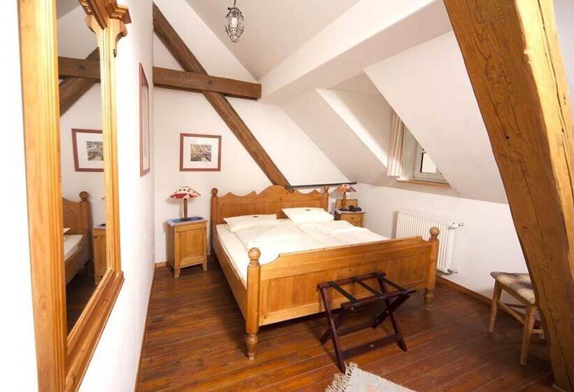 스탠다드 싱글 룸, Altes Stadttor