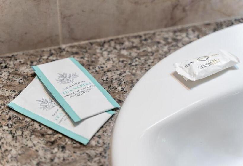 اتاق استاندارد با دسترسی به اسپا, Atol Spa