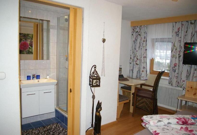 Номер Стандарт, Thalerhof