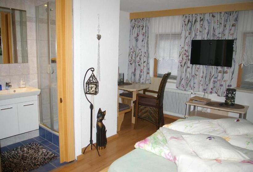 Номер Стандарт, Thalerhof