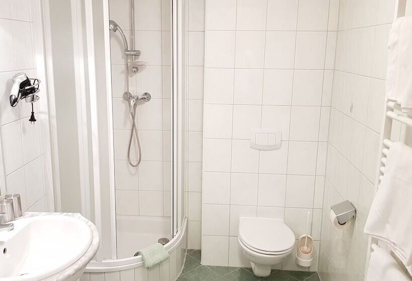 Номер Стандарт с Балконом, Roseggerhof