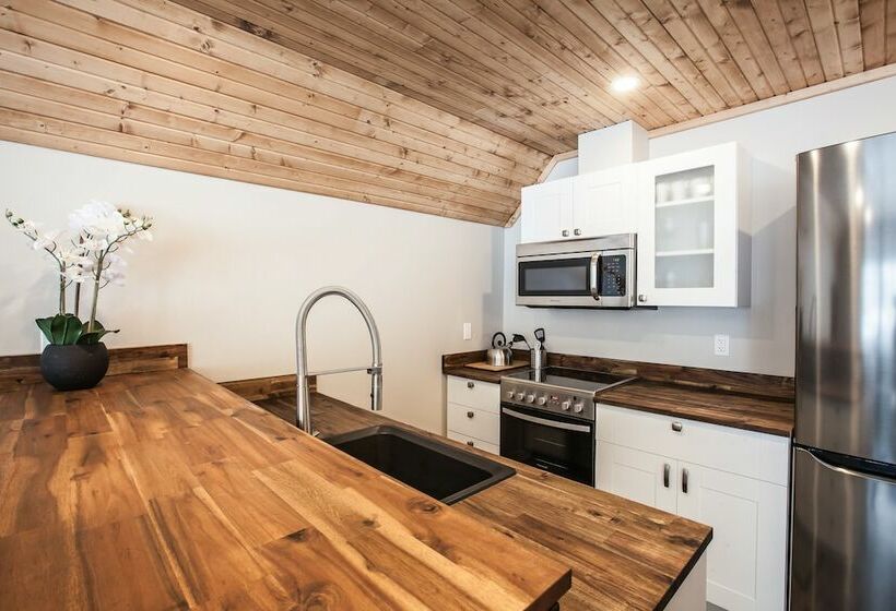 ２ベッドルームデラックスアパートメント, Boulder Mountain Resort