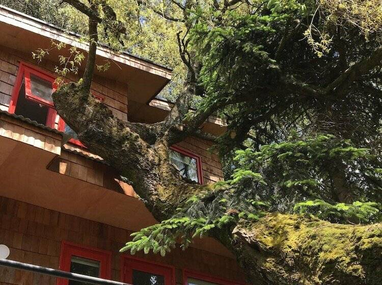 오두막, Almabosque Cabañas