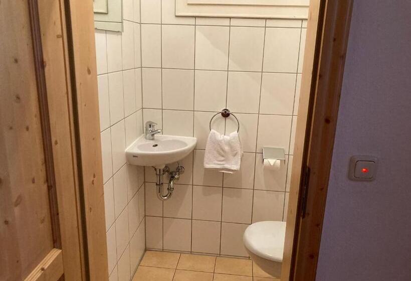 Апартаменты 1 Спальня с Видом, Gästehaus Menkenbauer