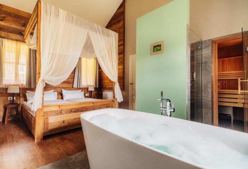Номер Стандарт, Torfhaus Harzresort