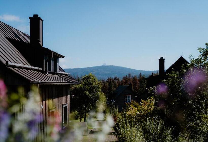 Дом 2 Спальни, Torfhaus Harzresort