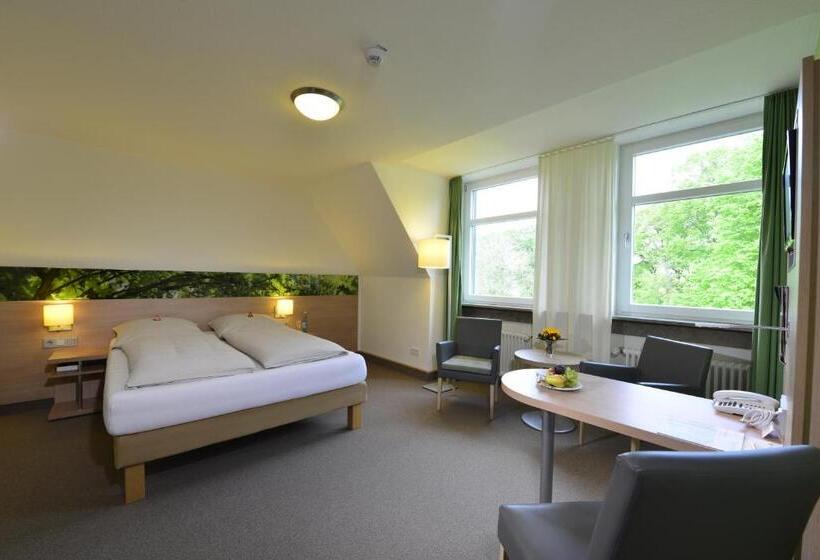Номер Стандарт, Tagungszentrum Schmerlenbach