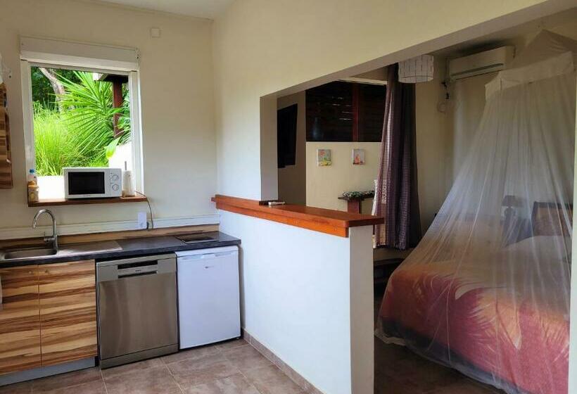 استودیو استاندارد با تراس, Villa Dream