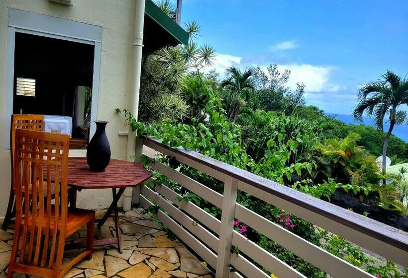 استودیو استاندارد با تراس, Villa Dream