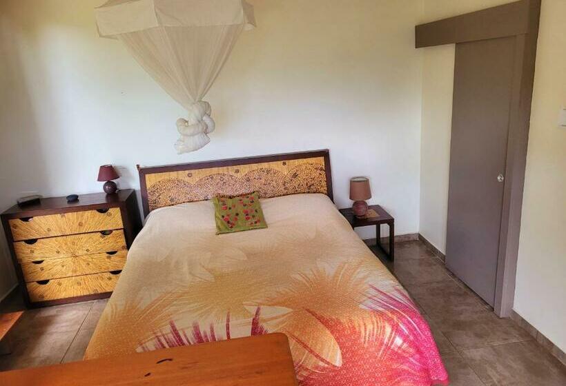 استودیو استاندارد با تراس, Villa Dream