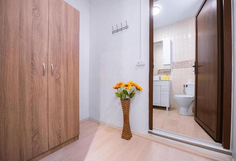 اتاق استاندارد با تراس, Brateș Greaca