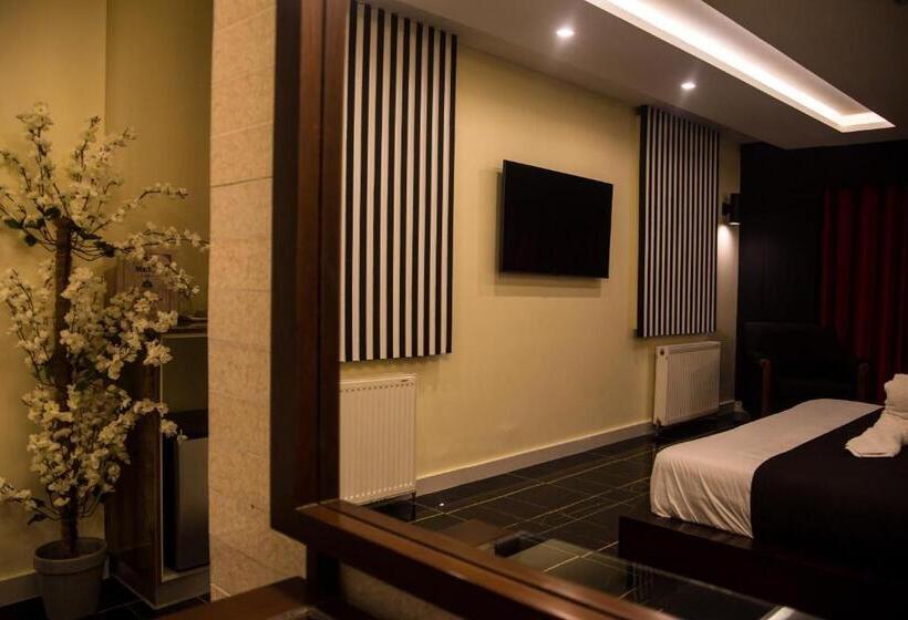 اتاق سوپریور با تخت بزرگ, Metropole