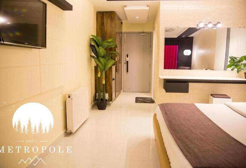 اتاق سوپریور با تخت بزرگ, Metropole