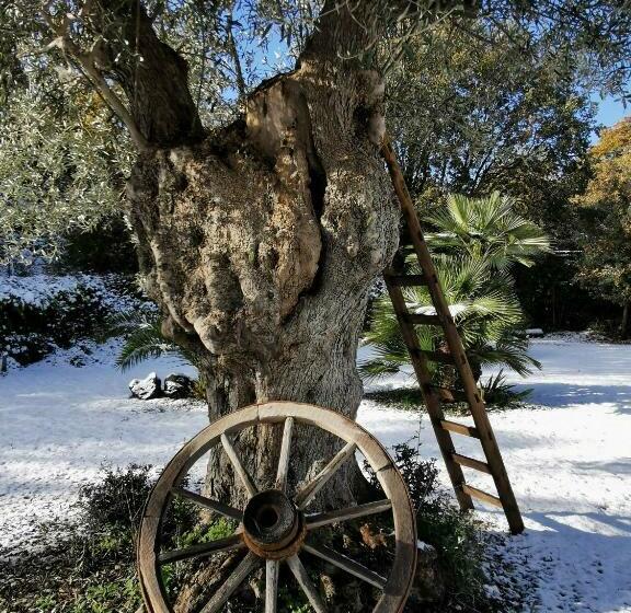اتاق خانوادگی, Antico Palmento Dell Etna