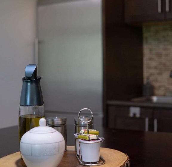 Семейное Студио, Condo Hotel Au Pied Du Mont Orford