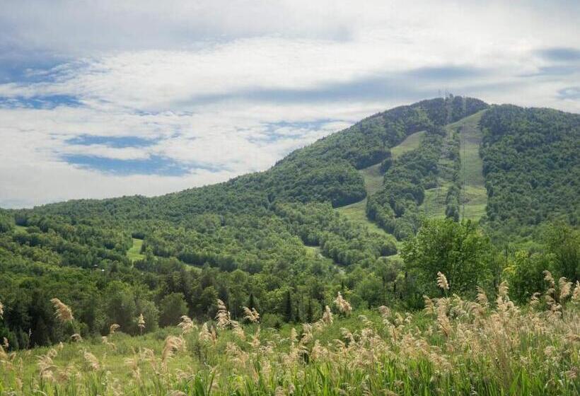 Семейное Студио, Condo Hotel Au Pied Du Mont Orford