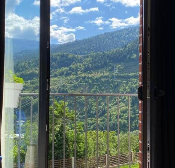 اتاق استاندارد, Holiday Borjomi