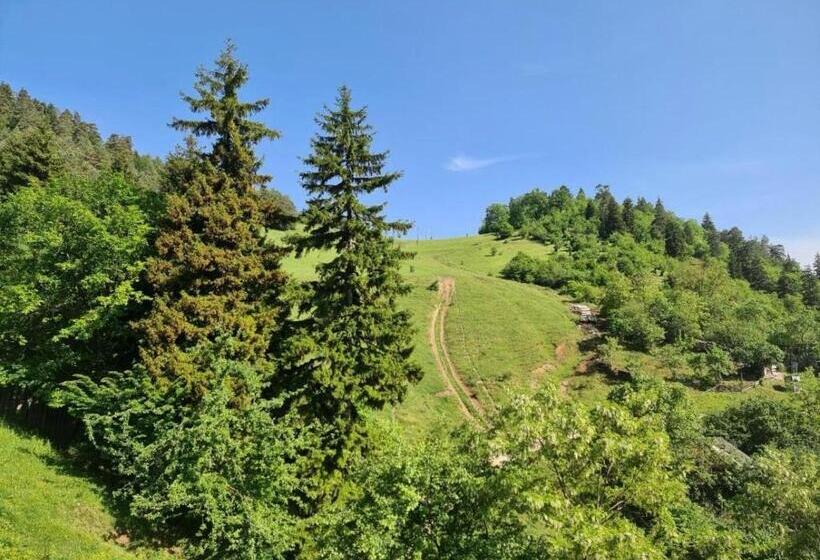 اتاق استاندارد سه نفره, Holiday Borjomi