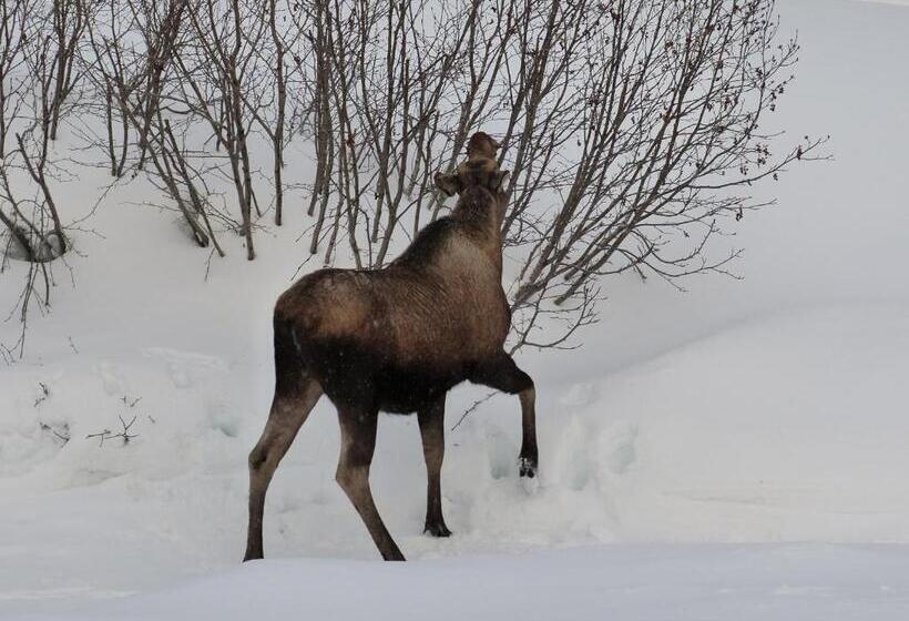Люкс Вид на Горы, Alaska Halcyon Heights Inn