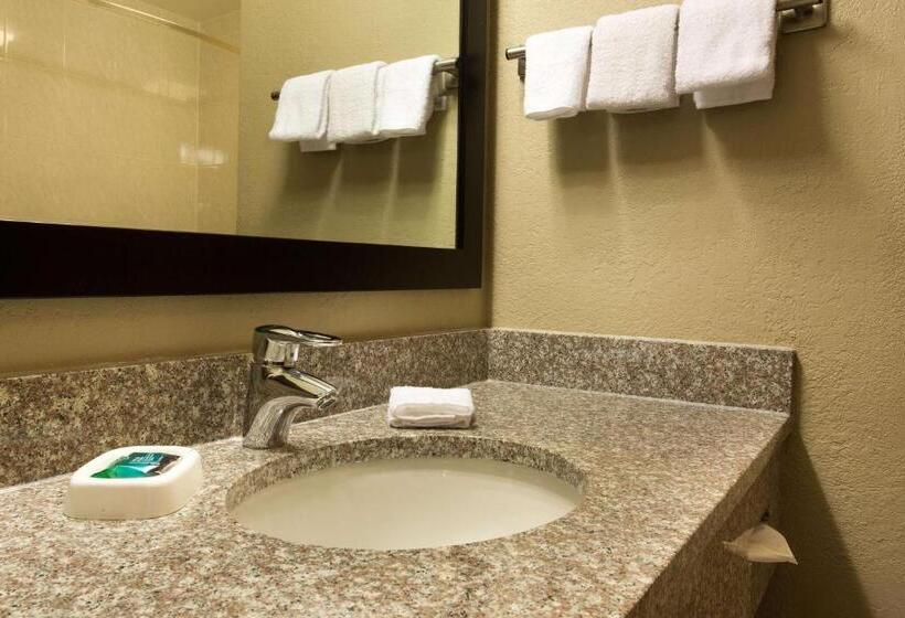 豪华房间, Drury Inn & Suites Cincinnati Sharonville