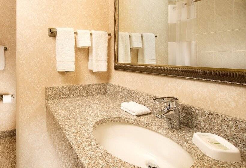 适用于残疾人士的豪华房间, Drury Inn & Suites Cincinnati Sharonville