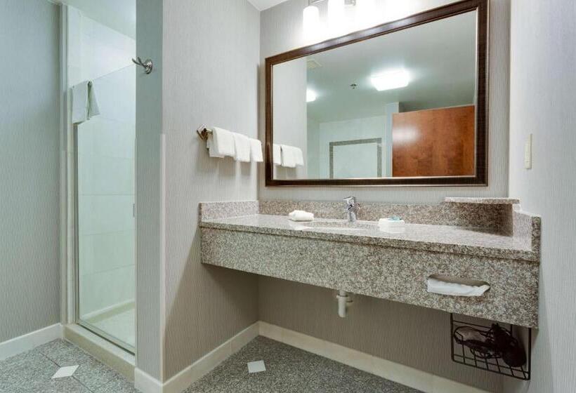 Номер Superior Кровать Кинг, Drury Inn & Suites St. Louis/o Fallon, Il
