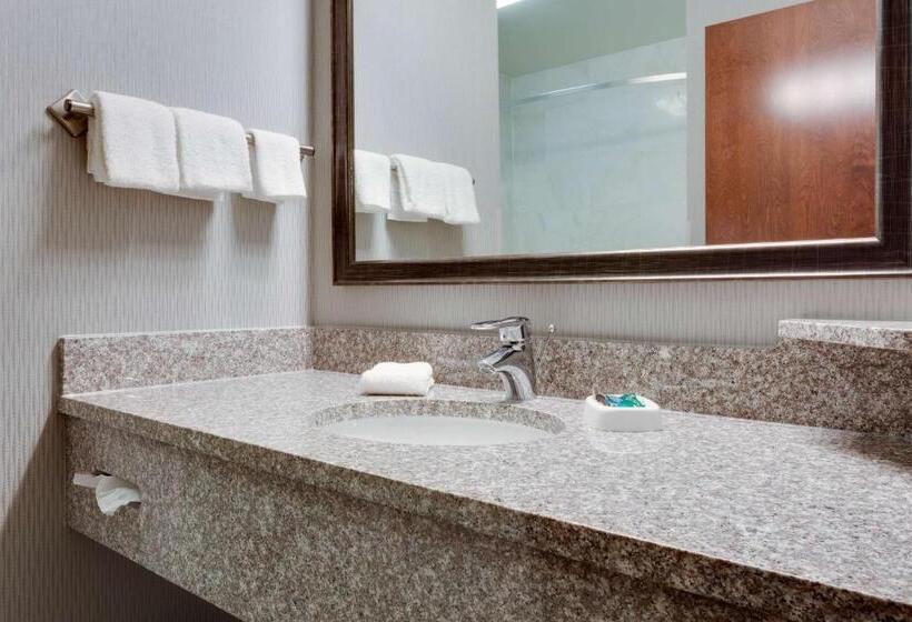 Стандартный Номер Кровать Кинг, Drury Inn & Suites St. Louis/o Fallon, Il