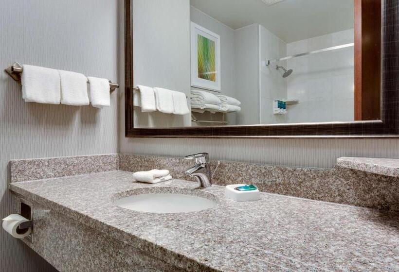Люкс Повышенной Комфортности, Drury Inn & Suites St. Louis/o Fallon, Il