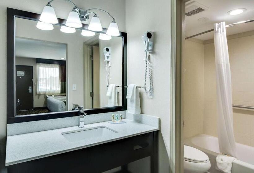 Номер Стандарт 2 Двуспальные Кровати, Quality Inn & Suites Athens University Area