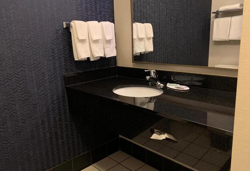 Студия Стандарт, Fairfield Inn & Suites By Marriott Marietta