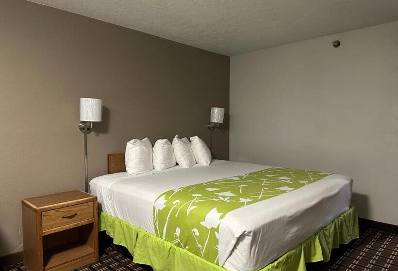 اتاق استاندارد با تخت بزرگ, Motel 6 North Sioux City, Sd I 29 North
