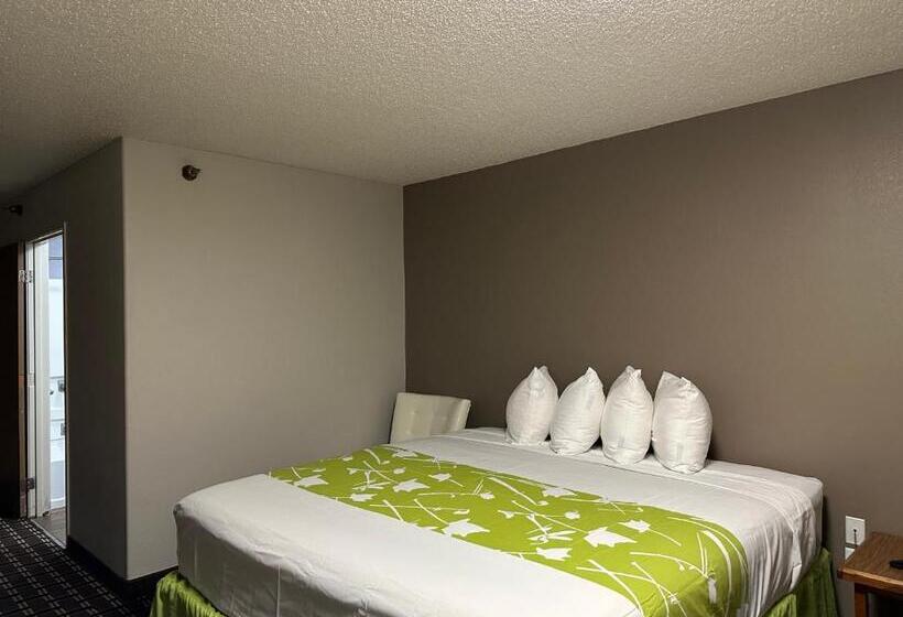 اتاق استاندارد با تخت بزرگ, Motel 6 North Sioux City, Sd I 29 North