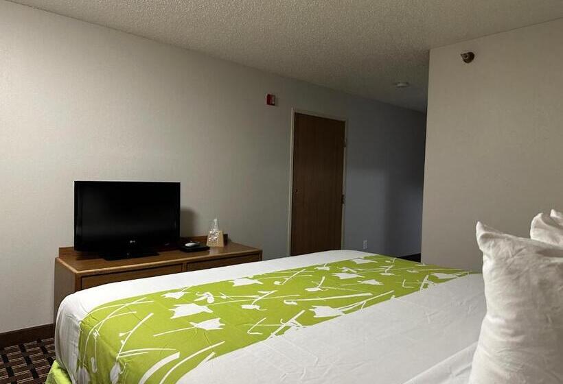 اتاق استاندارد با تخت بزرگ برای معلولان, Motel 6 North Sioux City, Sd I 29 North