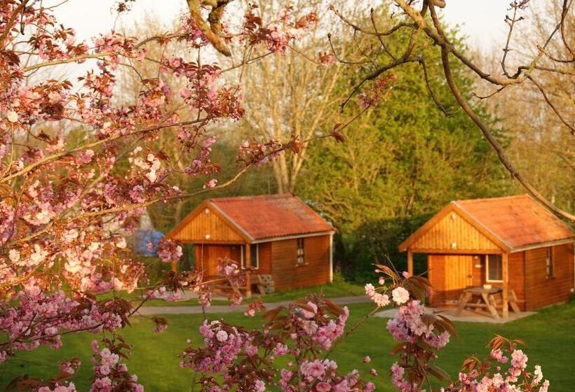 오두막, B&b Welgelegen