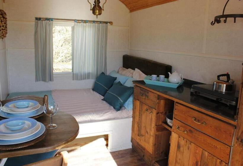 스탠다드 룸, B&b Welgelegen